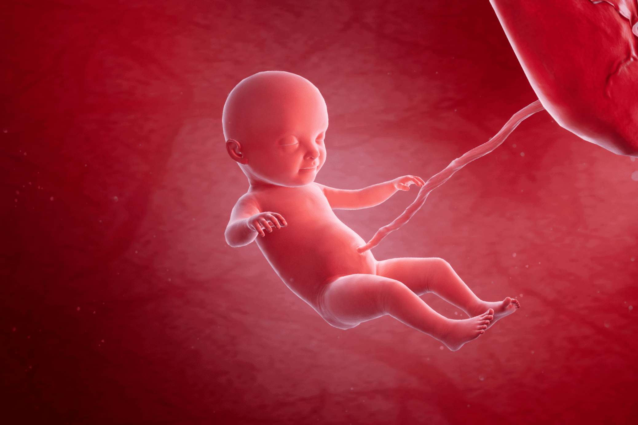 Week 33