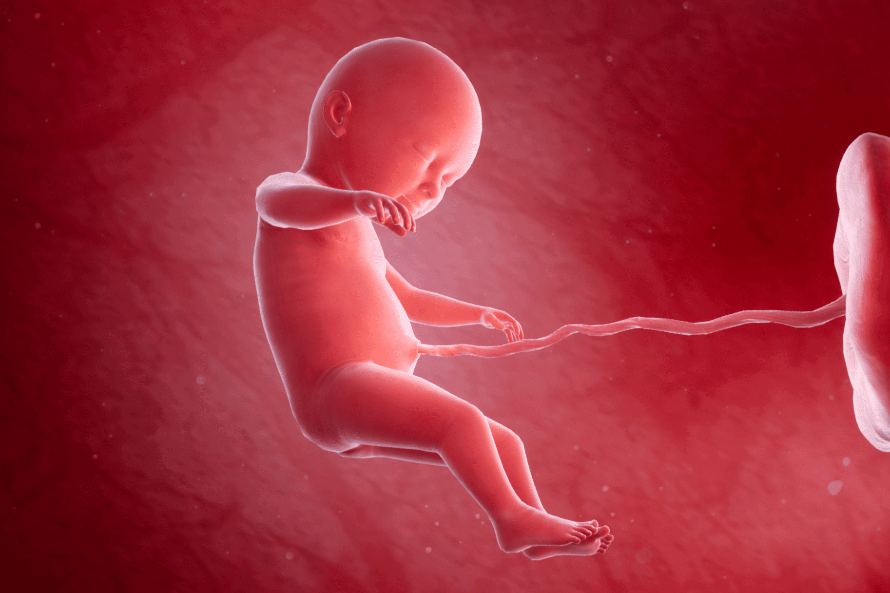 Week 34